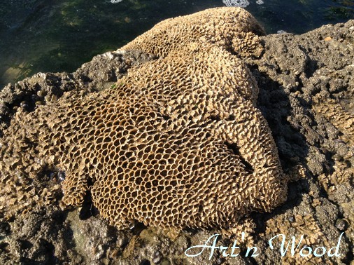 Rochers sur la plage, Art`n Wood: pièces uniques nées des trésors de la mer, glanés sur les plages de Vendée: galets polis, verre dépoli, bois flotté, coquillages deviennent luxueux bijoux de créateu