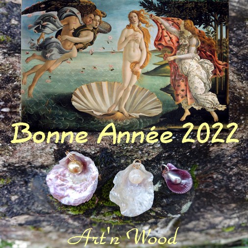 Bonne Année 2022 !